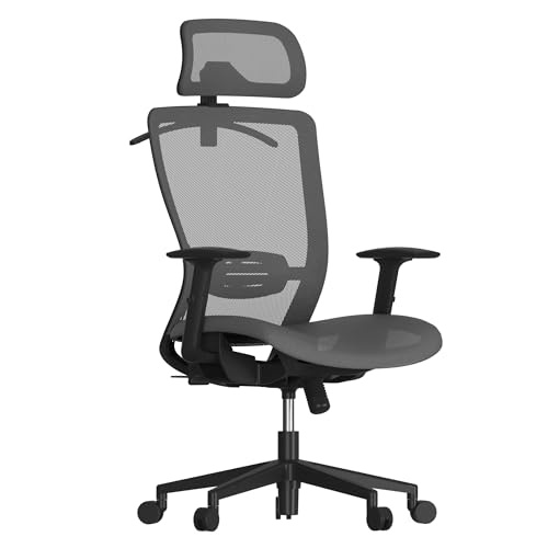 FLEXISPOT OC3 Ergonomic Mesh Chair
