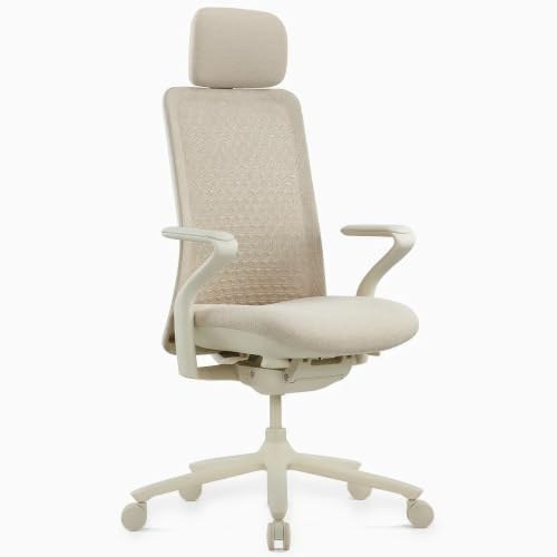 Desky Pro Ergonomic Chair