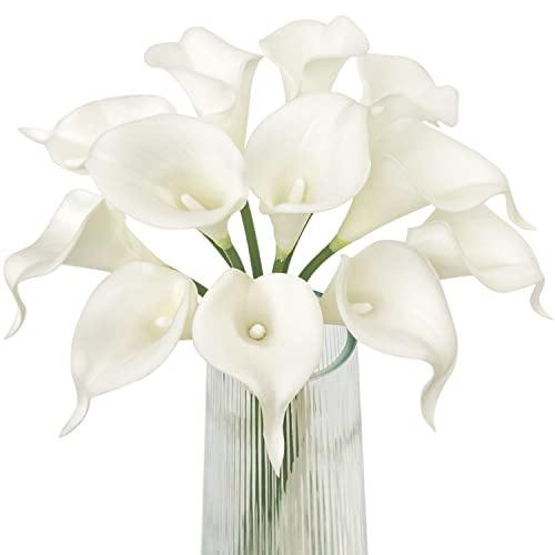 Letjolt White Calla Lily 12 Pack