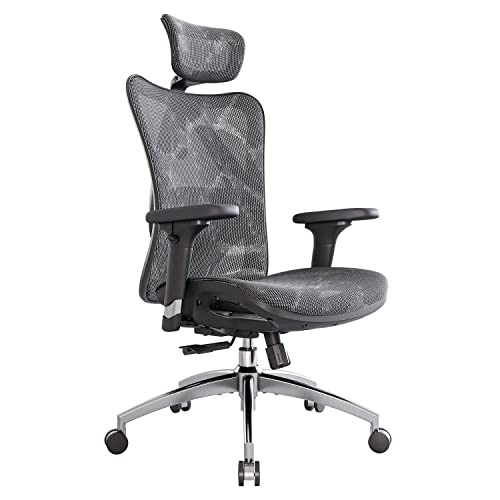 SIHOO M57 Ergonomic Office Chair