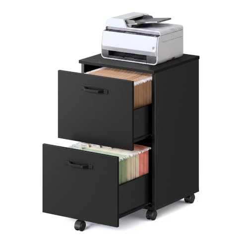 VASAGLE 2-Drawer Rolling File Cabinet (Matte Black)