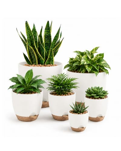 Bamworld Set of 6 Self-Watering Plant Pots