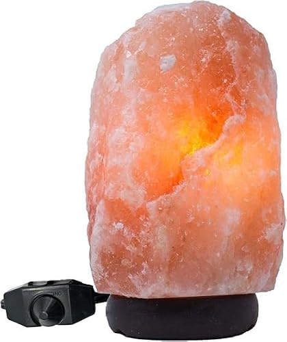 Salacia Extra Large Himalayan Salt Lamp with Dimmer