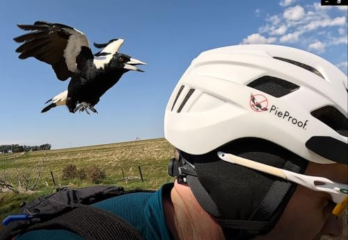 PieProof Cycle Helmet