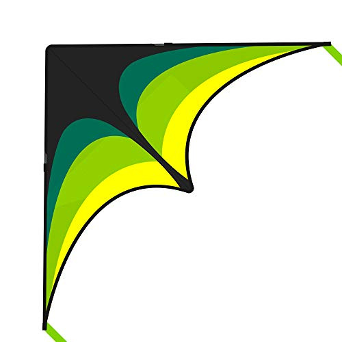 Mint's Colorful Life Delta Kite