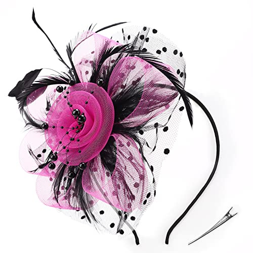DRESHOW Fascinators Hat Flower Mesh Feather Headband and Clip