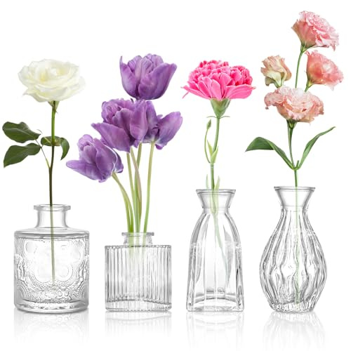 ODDMUCK Glass Bud Vase 4 Pack