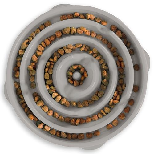 Outward Hound Fun Feeder Slo Bowl (Large)