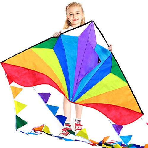 HONBO thecolorfullife Delta Kite