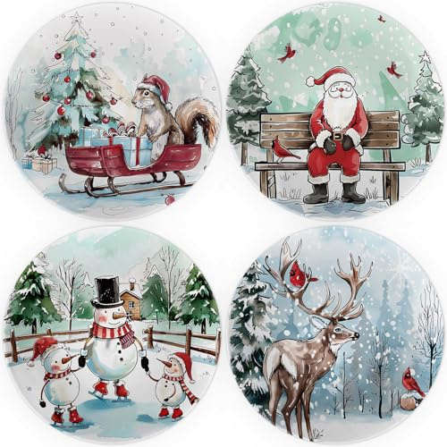 Viynran 10 inch Christmas Melamine Plate Set