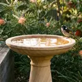 Best Bird Bath Australia: 7 Picks That Actually Pull Birds In (2026)
