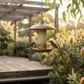 The Best Bird Feeders in Australia (2026): Researched Picks for Aussie Backyards