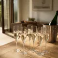 Best Champagne Flutes in Australia (2026)