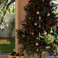 The Best Christmas Decorations in Australia