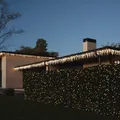 Best Christmas Lights in Australia: 8 Picks for Buying, Not Sightseeing