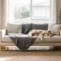 The Best Dog Blankets in Australia for 2026