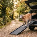 The Best Dog Ramps in Australia (2026)