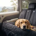 Best Dog Car Seat Covers in Australia (2026): 8 Picks That Actually Keep Your Car Clean