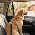 The Best Dog Seatbelts in Australia for 2026