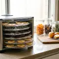 Best Food Dehydrator Australia 2026 — Jerky, Fruit & Budget Picks Compared
