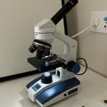 Best Kids Microscope Australia: 7 Picks That Turn Curiosity Into Science