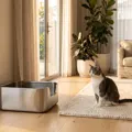 The Best Cat Litter Boxes in Australia (2026): 6 Picks That Actually Contain the Mess