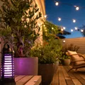 Best Mosquito Zapper Australia: 6 Top Picks for 2026