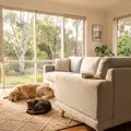 The Best Pet Hair Remover Rollers in Australia for 2026