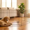 Best Dog Playpen Australia: 7 Pens We Rate for Puppies and Big Dogs (2026)