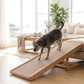 Best Pet Ramps in Australia (2026): Safe Steps for Beds, Couches and Cars