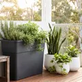 The Best Plant Pots in Australia for 2026: Indoor, Outdoor and Self-Watering Picks