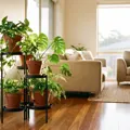 The Best Indoor Plant Stands in Australia (2026)