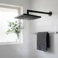 Shower Head