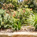 The Best Smart Tap Timers in Australia (2026)