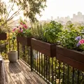 The Best Window Boxes in Australia for 2026: Compared Planters for Herbs, Flowers and Small Spaces