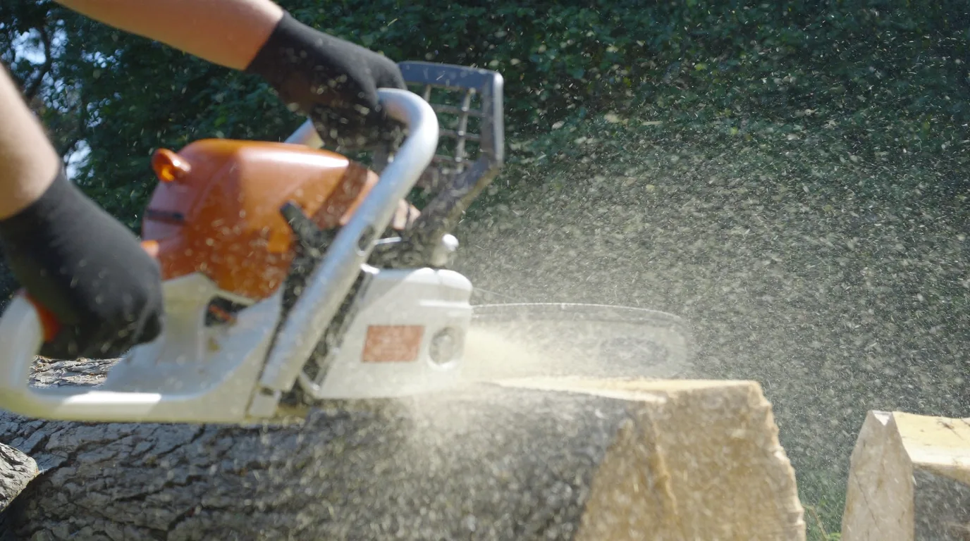 The Best Chainsaws in Australia for 2026