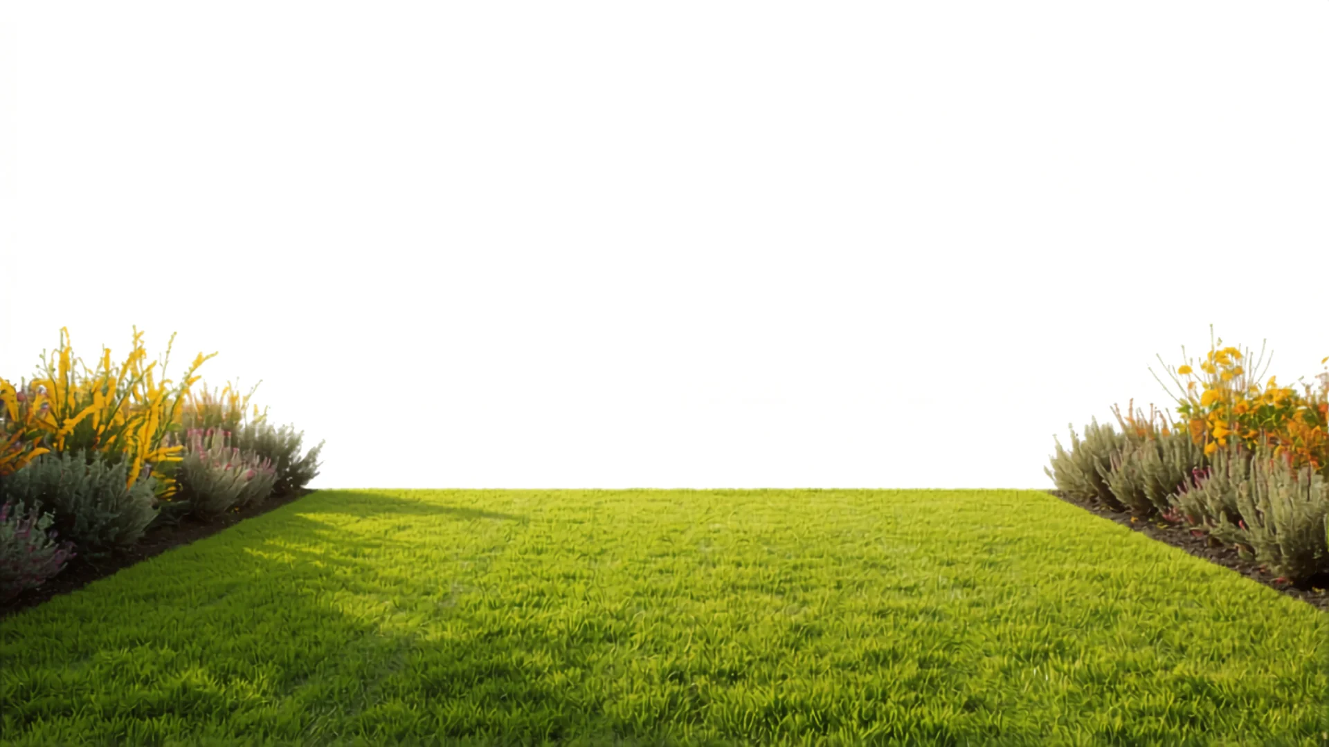 Well-maintained Australian backyard with perfectly mowed green lawn