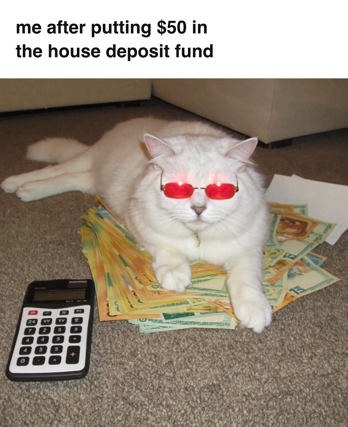 Meme: a smug white cat in red sunglasses lounging on a pile of banknotes beside a calculator, captioned 'me after putting $50 in the house deposit fund'